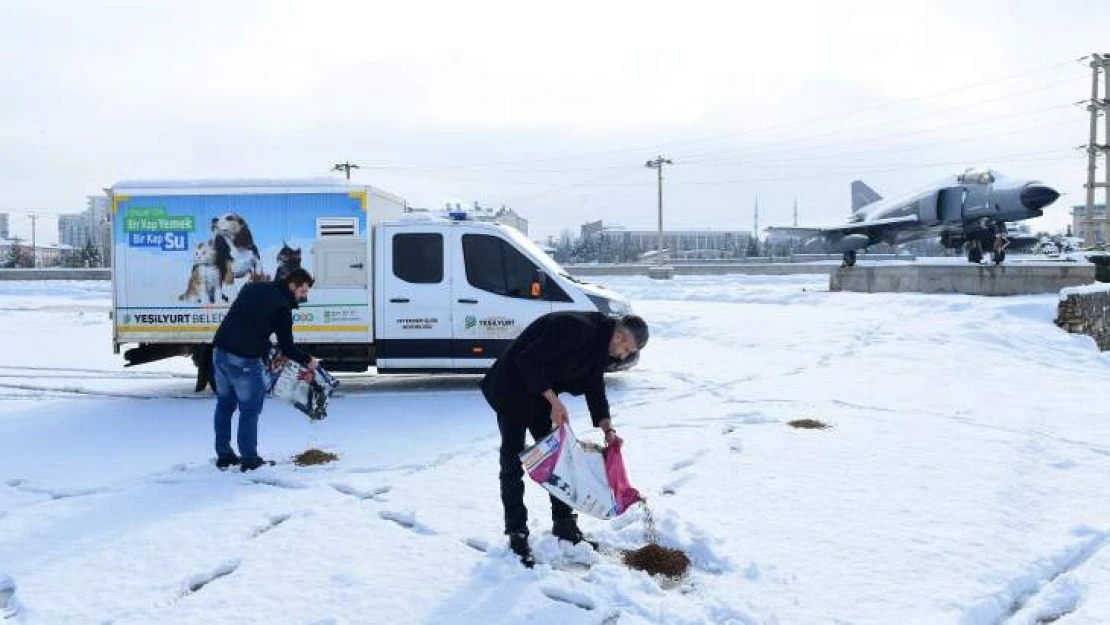 Canlıları Sevmek ve Kollamak İnsani Bir Sorumluluktur