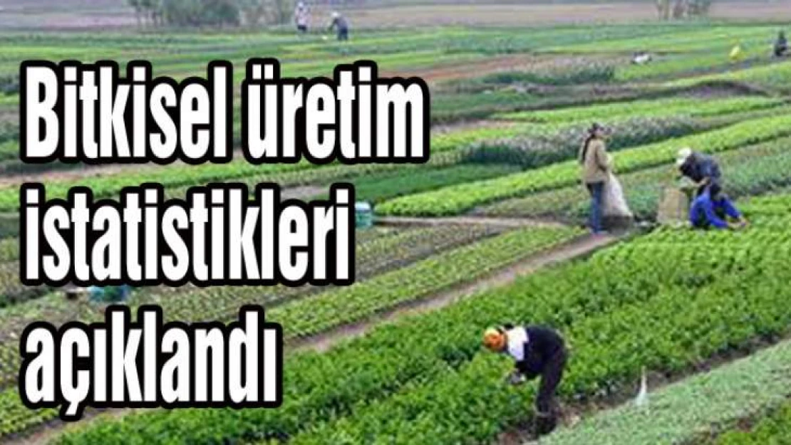 Tahıllar ve diğer bitkisel ürünler ile sebzelerde üretim azaldı