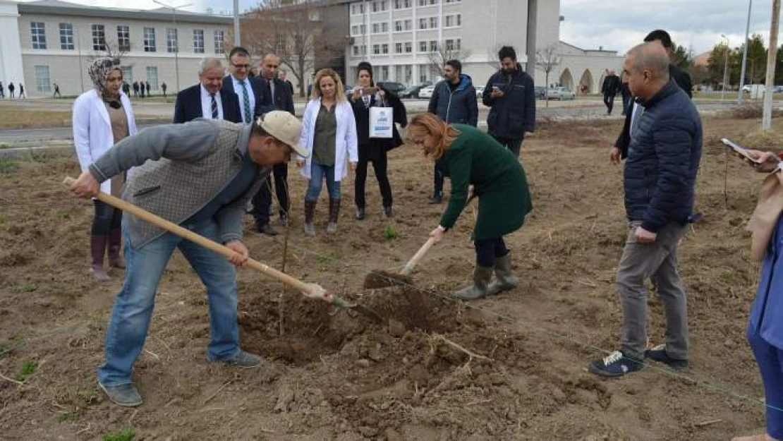 MTÜ Tarım Kampüsüne örnek kayısı bahçesi kuruluyor