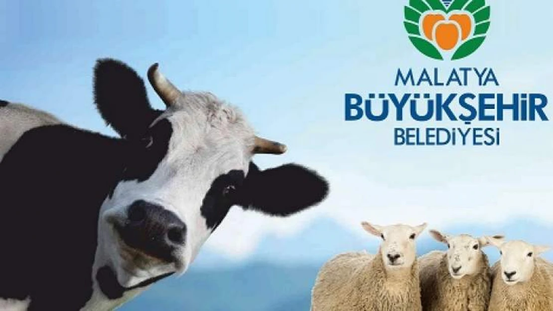 Büyükşehir Belediyesinden Kurban Kesim Kursu