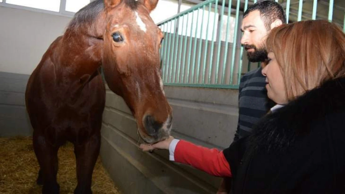 MTÜ Atçılık ve Atlı Sporları Uygulama ve Araştırma Merkezi kuruldu