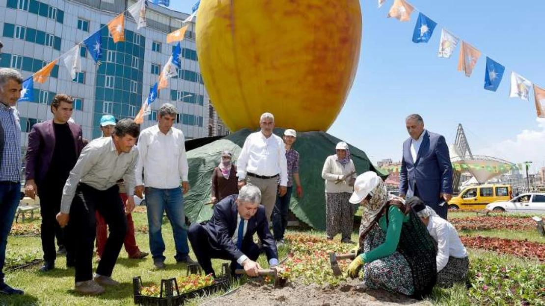 Malatya Rengarenk Çiçeğe Büründü