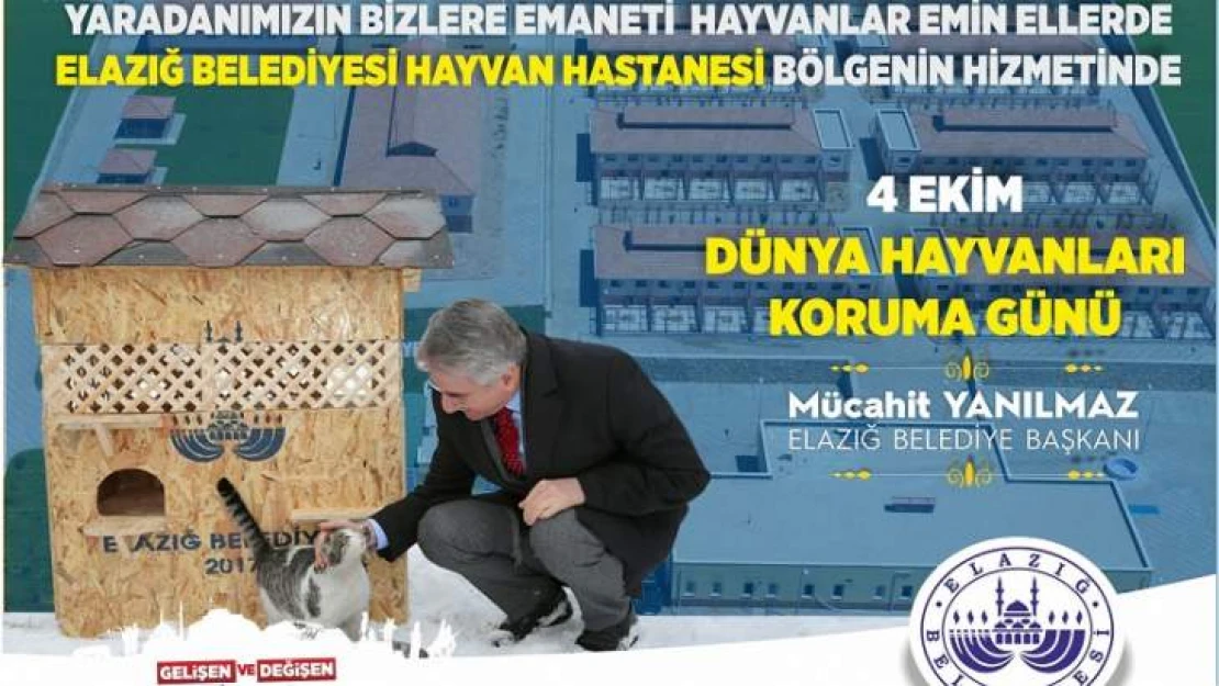 Merhamet Ve Şefkat Elimizle Küçük Dostlarımızı Yalnız Bırakmayacağız