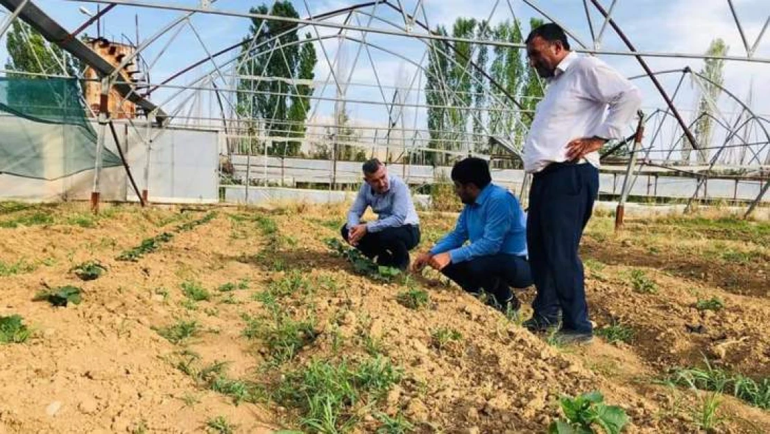 Dört Mevsim Üretim İçin Kolları Sıvadık