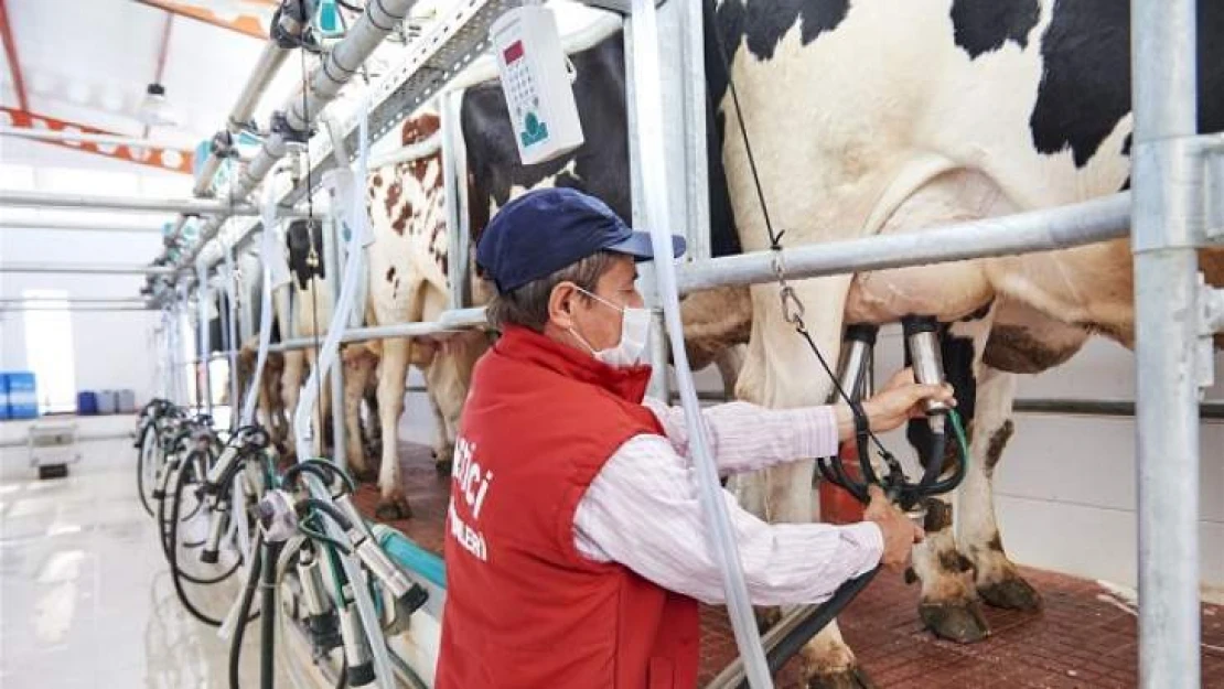 Ulusal Süt Konseyi bu yapıyla devam edemez