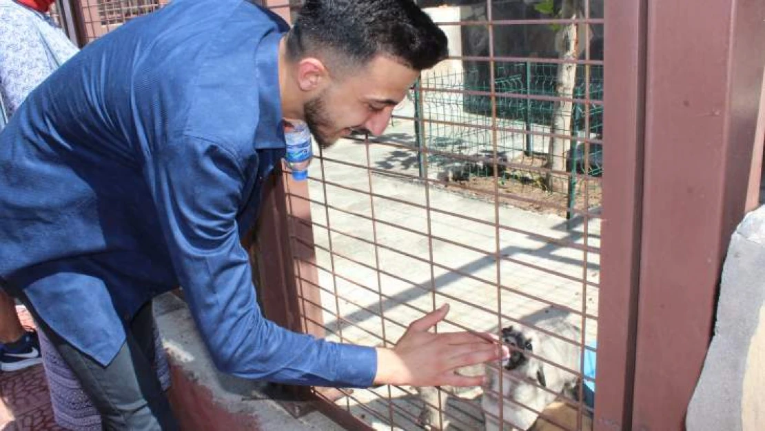 Bu Gençler Herkesi Daha Çok Merhametli Olmaya Davet Ediyor