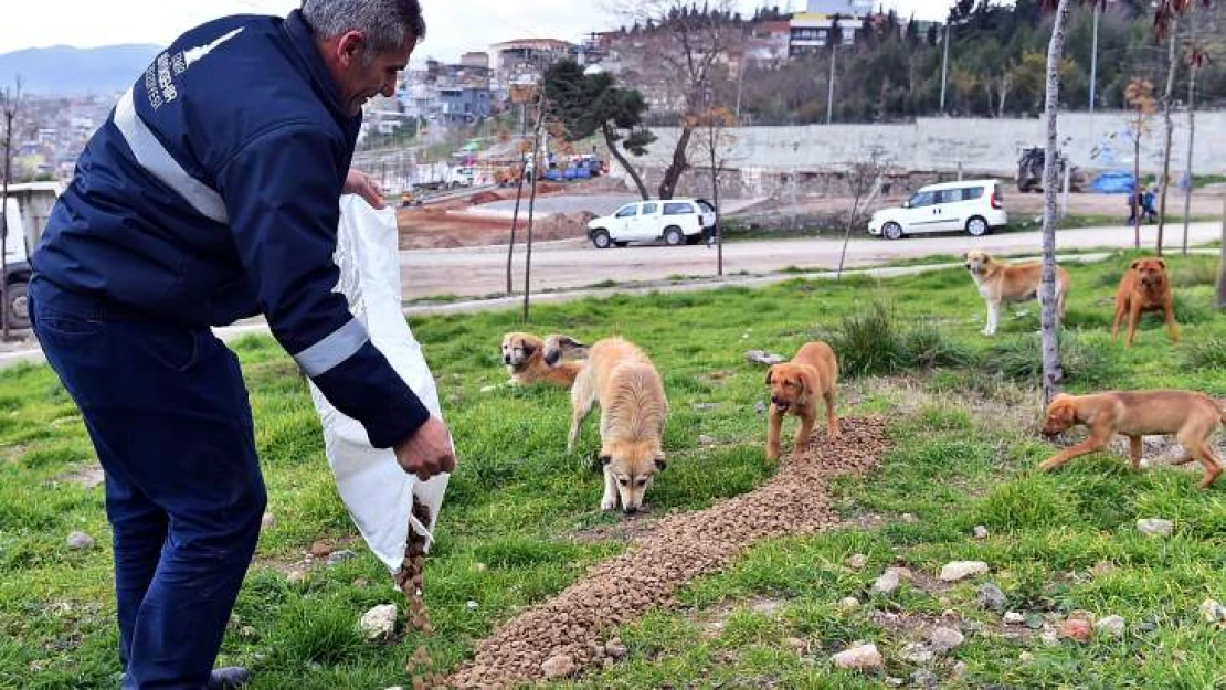 Can dostları unutmadık