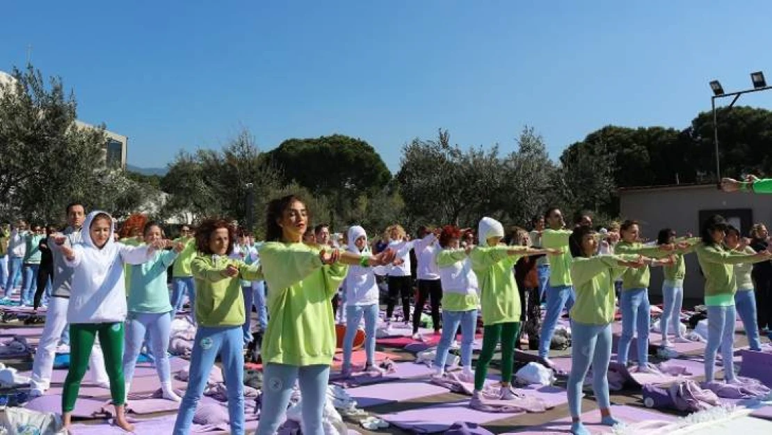 Uluslararası Farkındalık   Festivali