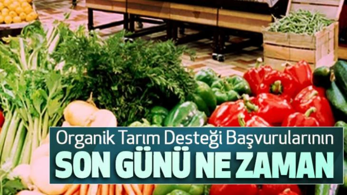 Destek başvurularında son günler…