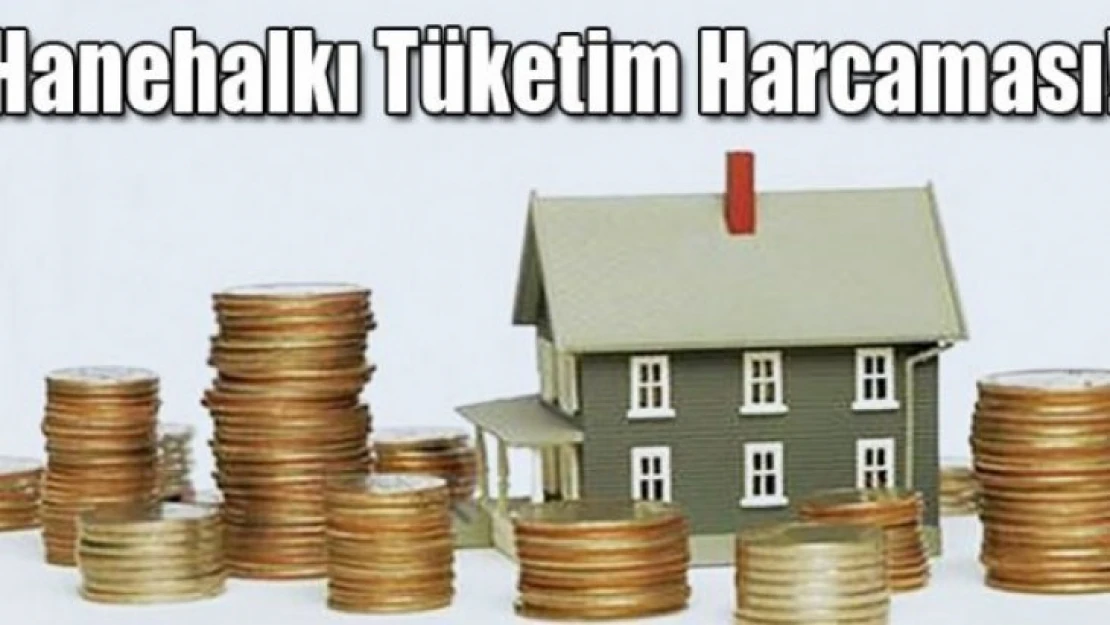 Hanehalkı Tüketim Harcaması