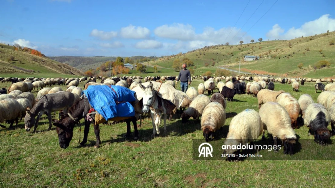 Havanın soğumasıyla göçerlerin dönüş yolculuğu sürüyor