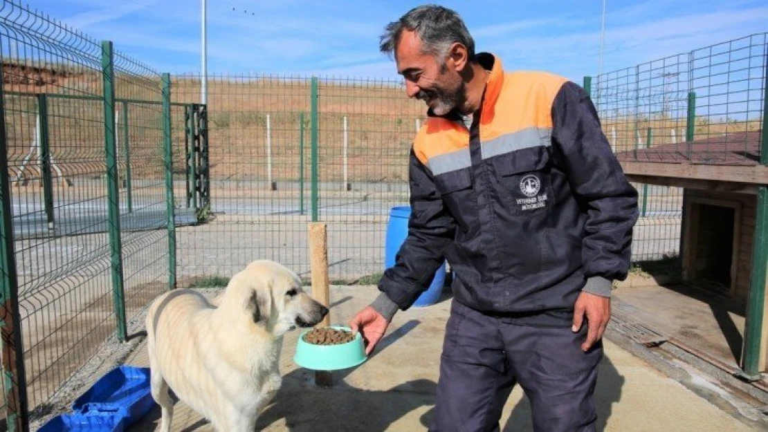 Hayvan Barınağı Ziyaretine Ara Verildi