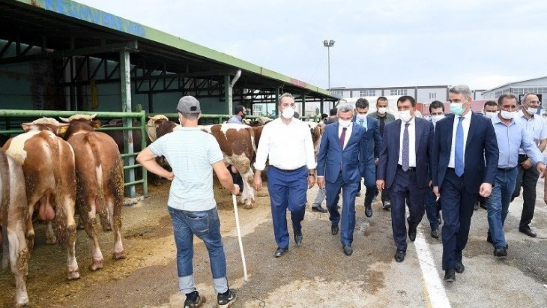 Hayvan Pazarı Kesimhanelerinde Monoray Sistemine Geçildi