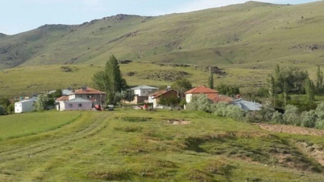 Hekimhan Karapınar Mahallesi Karantinaya alındı