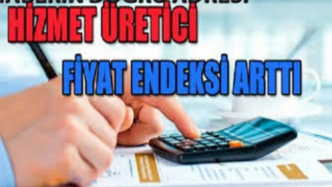 Hizmet Üretici Fiyat Endeksi arttı