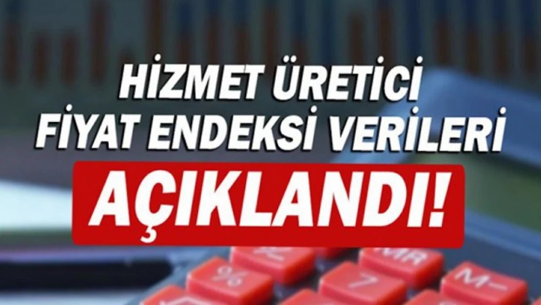 Hizmet Üretici Fiyat Endeksi Verileri Açıklandı