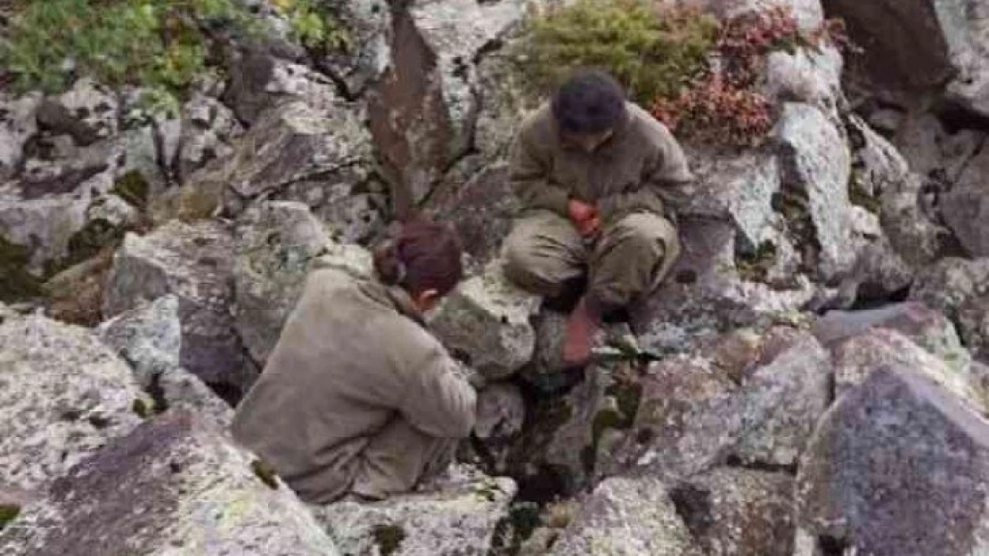 Iğdır'da 2 Terörist Sağ Olarak Ele Geçirildi