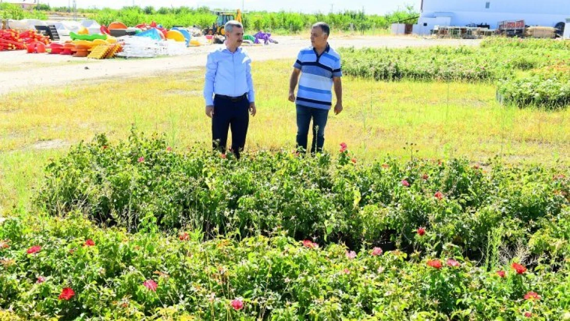 İlçemiz, Mevsimlik Çiçeklerle Daha Güzel, Daha Renkli