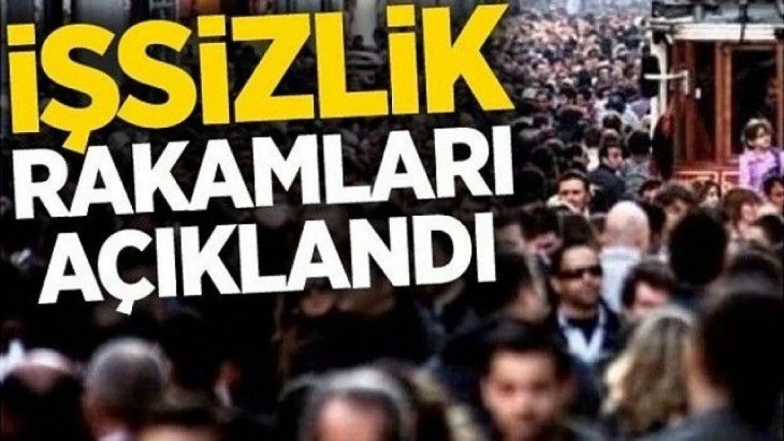 İşsizlik ağustosta yüzde 13,2 olarak gerçekleşti