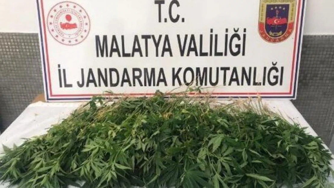 Jandarma'dan Uyuşturucu Operasyonu