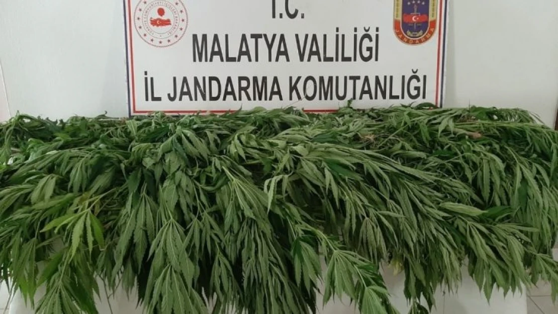 Jandarma'dan Uyuşturucu Tacirlerine Operasyon.