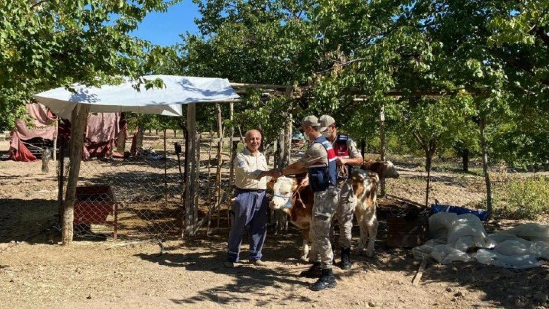 Jandarma Kayıp Hayvanları Dron İle Buldu