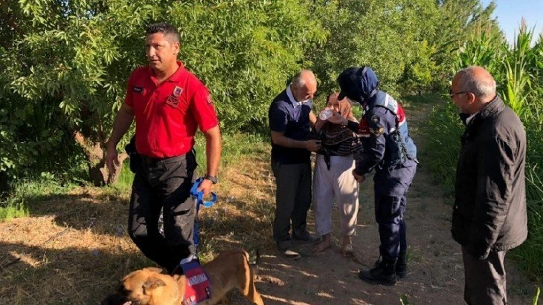 Jandarmanın Arama Kurtarma Operasyonu Sonucunda Yaşlı Kadın Bulundu