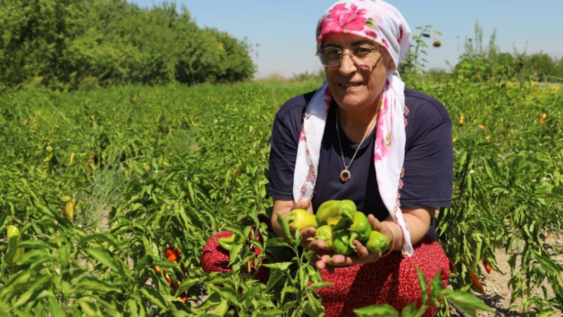 Kadın Muhtarlar Kooperatifte Üretim Yapan Kadınlara Omuz Verdi