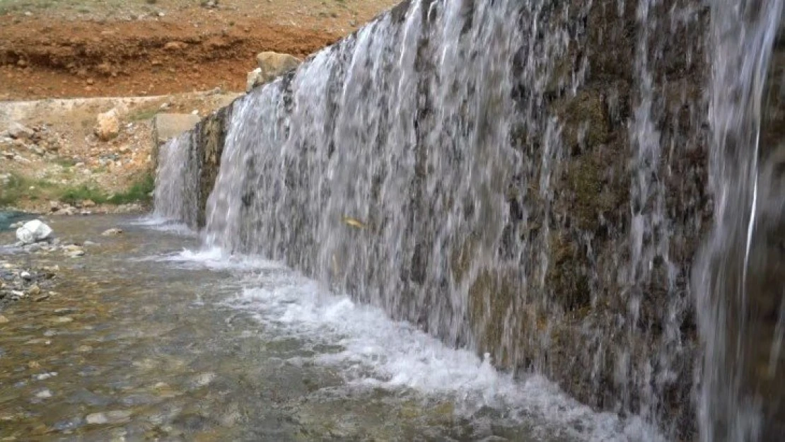 Karlık Çayı Yanında açılan kanal ile Balıklar hayata döndürüldü