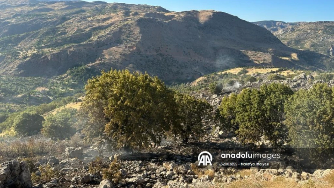 Malatya'da çıkan orman yangını söndürüldü