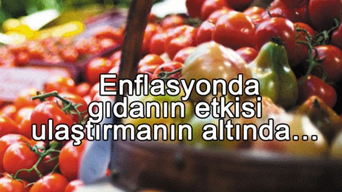 Enflasyonda Gıdanın Etkisi Ulaştırmanın Altında