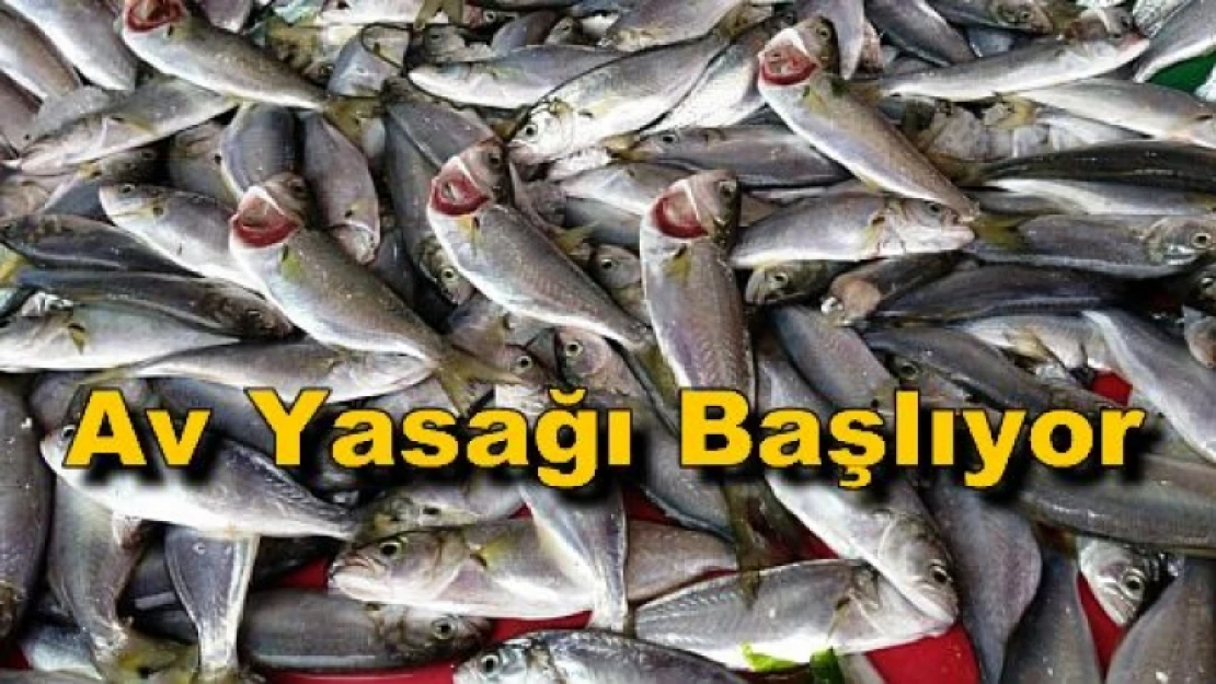 Denizlerde av yasağı başlıyor