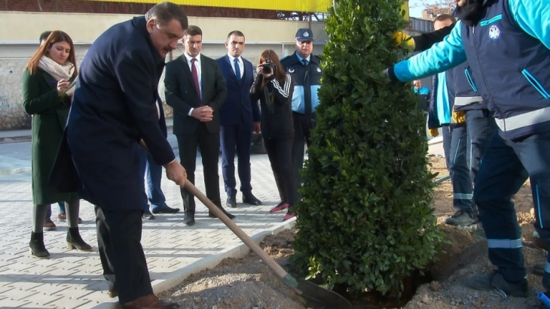 Çevre Düzenleme Çalışması Yeşil Kuşak Projesi İle Bütünleşecek