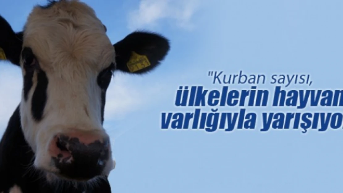 Kurban sayısı, ülkelerin hayvan varlığıyla yarışıyor…