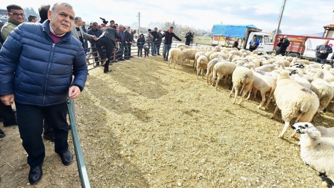 İzmir'de tarım işte böyle gelişiyor