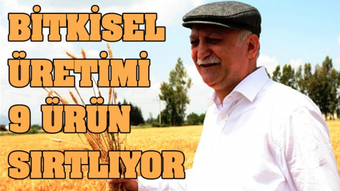 Bitkisel üretimi 9 ürün sırtlıyor