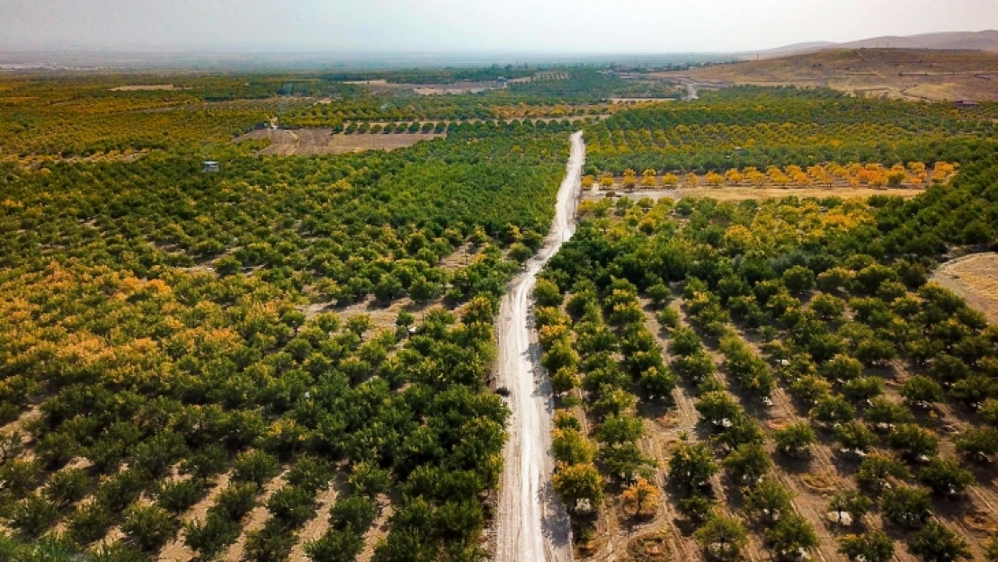 Büyükşehir Belediyesi'nden büyük ulaşım projesi