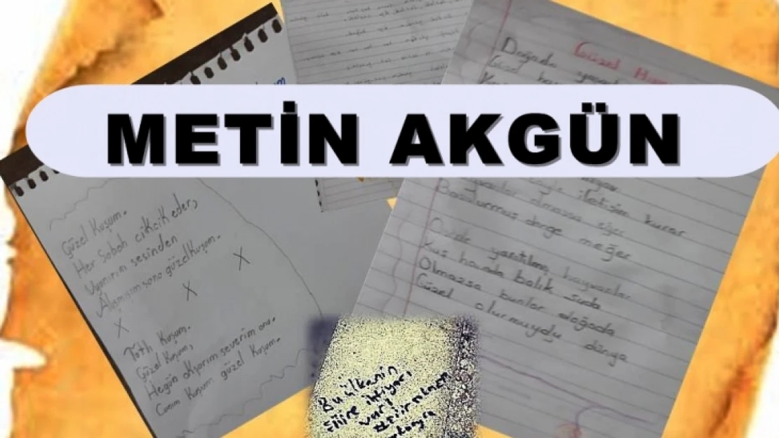 Eğitimde 'Şiir' Önemlidir…