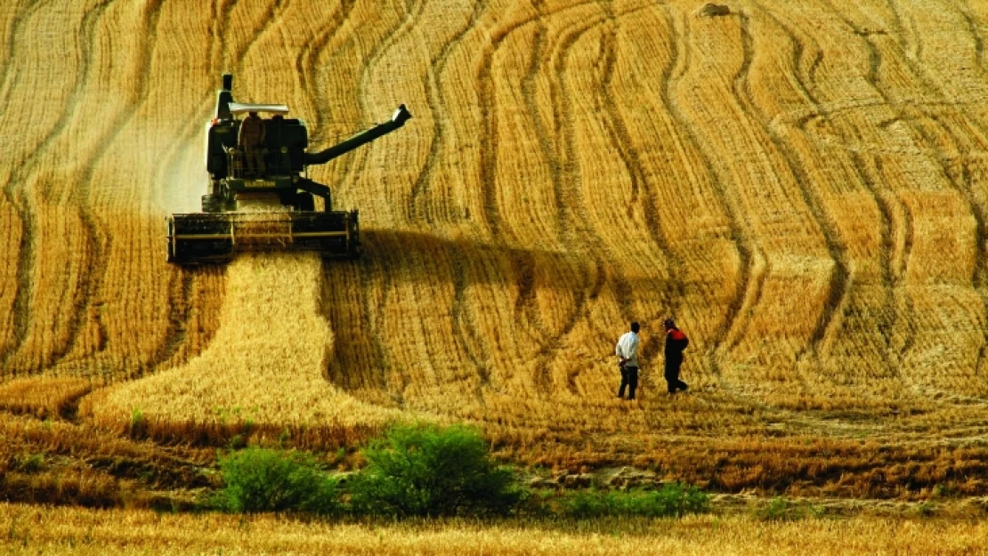 Ekim ayında bile tarımda istihdam 5,5 milyonu geçti