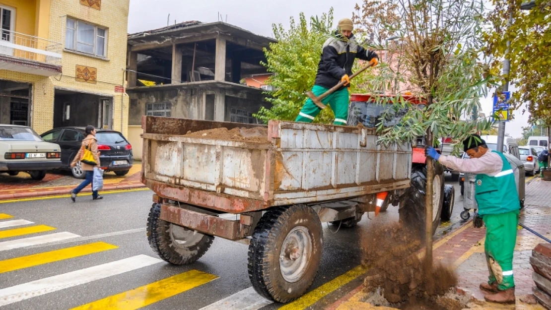 Son 3 Ayda 15 Bin Ağaç Ve Bodur Bitki Dikimi Yapıldı