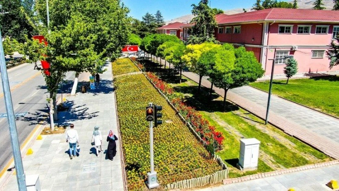 Malatya Parklarını Yazlık Çiçekler Süslüyor