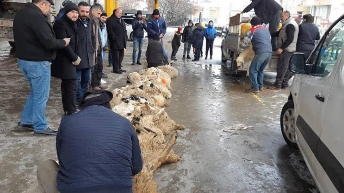 MHP Yenimahalle'den musibet ve belaların defi için 41 kurban