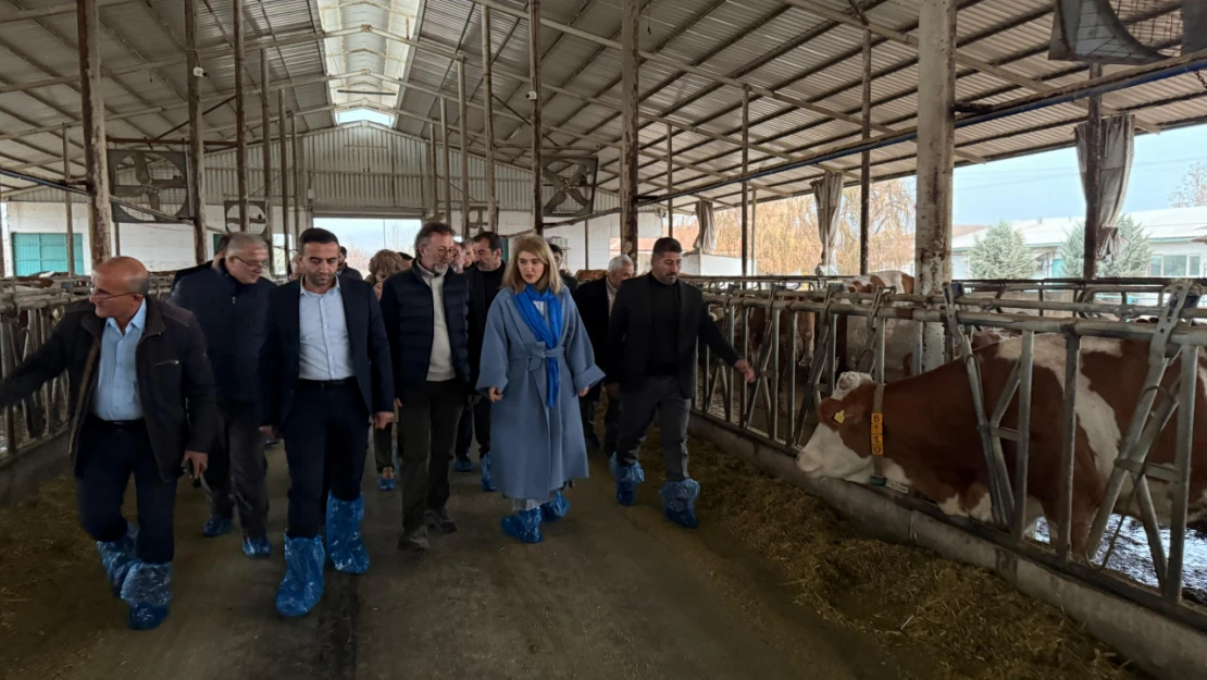 Milletvekili Ölmeztoprak'tan  Ziyaret ve İncelemeler