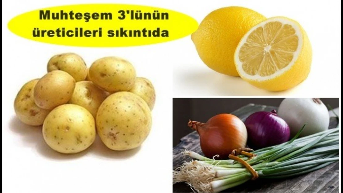 Muhteşem üçlü üreticileri sıkıntıda