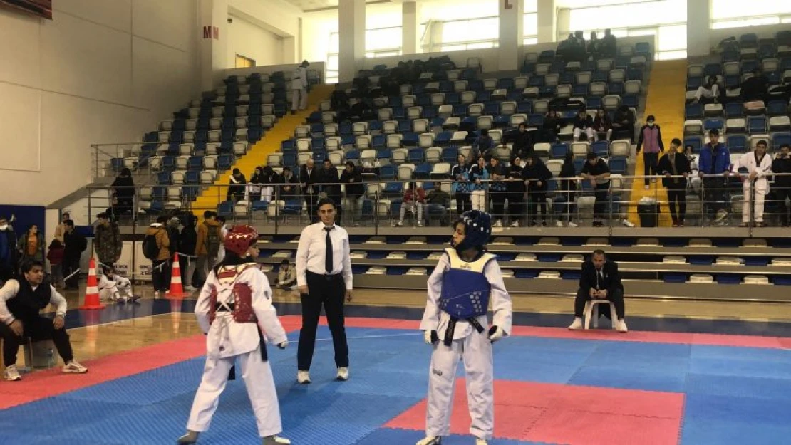 Okul Sporları İller Arası Tekvando 4. Gurup Müsabakaları Malatya'da Yapılıyor.