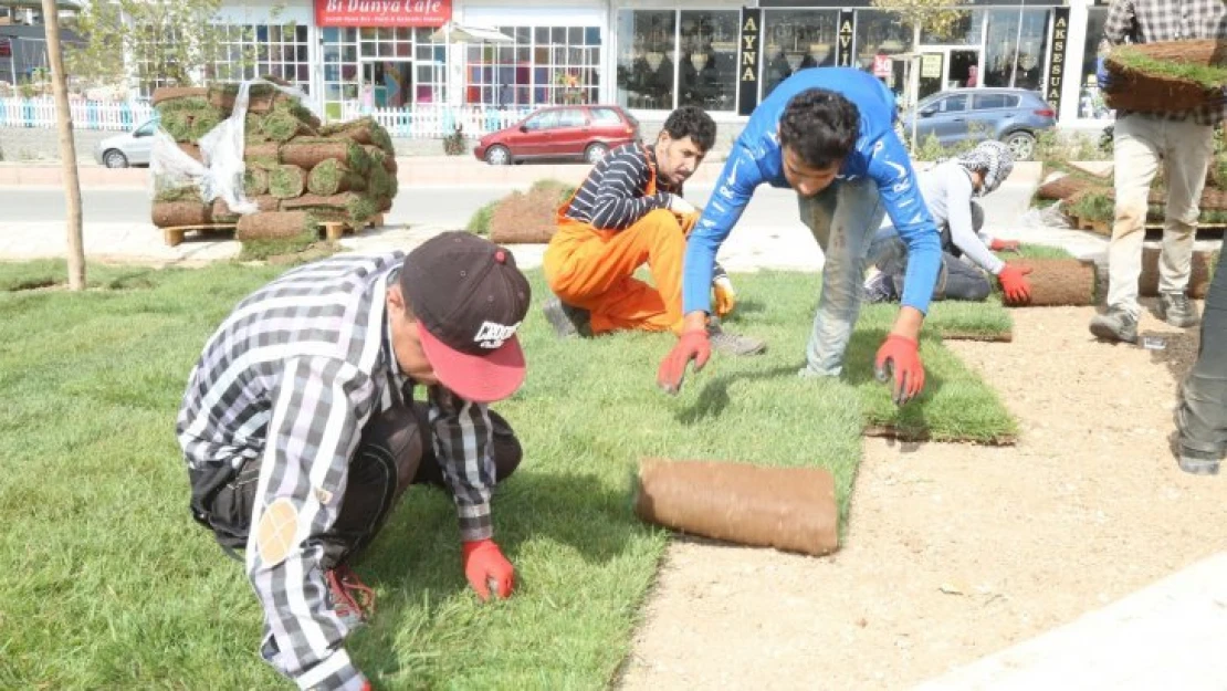 Park Ve Bahçeler Müdürlüğü Daha Yeşil Bir Elazığ İçin Çalışıyor