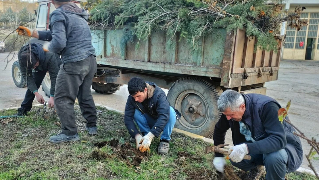 Peyzaj Ve Temizlik Çalışmaları Devam Ediyor