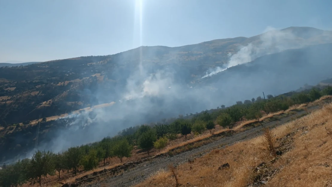 Pütürge'de Arazi yangını Ormanlık Alana Sıçradı