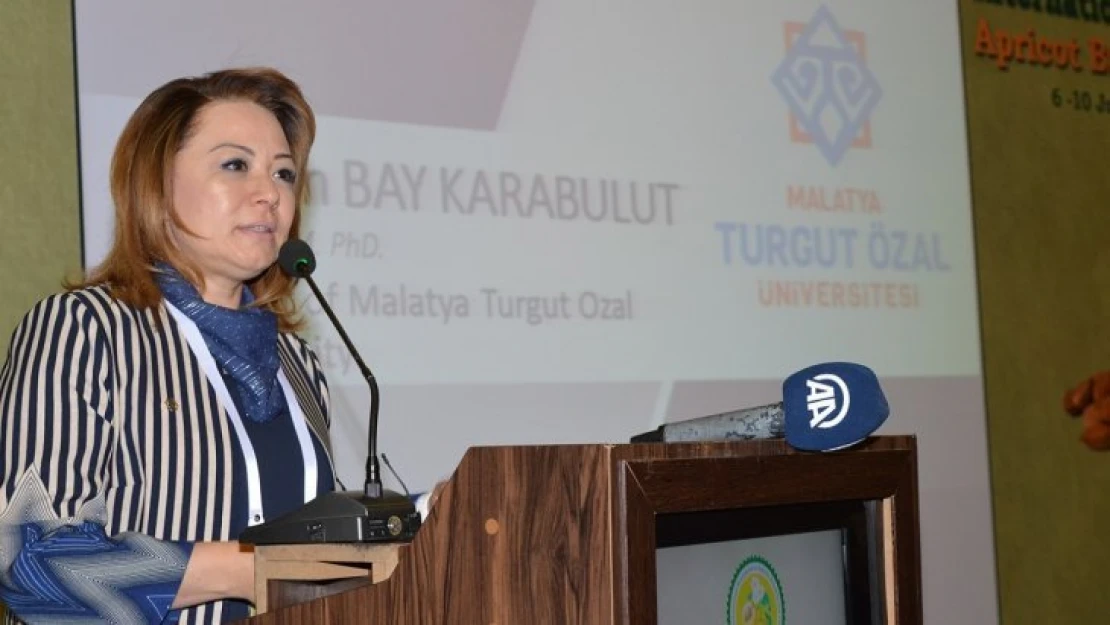 Rektör Karabulut: Kıbrıslı kardeşlerimizle aynı coşkuyu yaşıyoruz