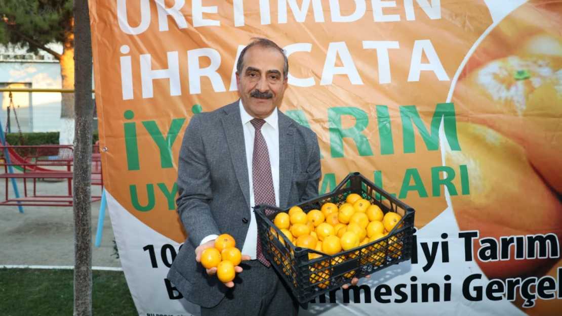 Satsuma mandalina yüklü TIR'lar ihracata yolcu edildi